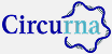 Circurna